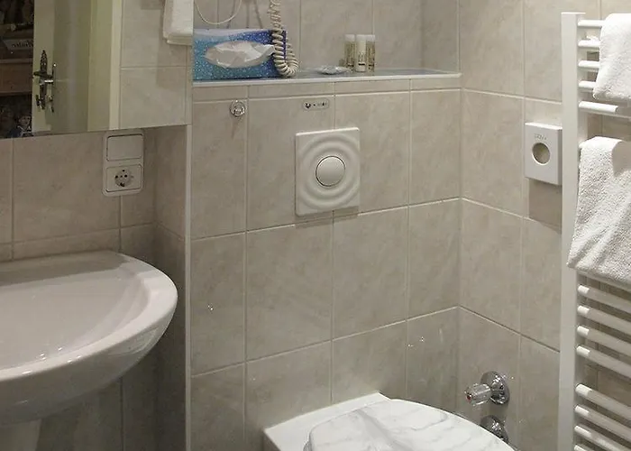 Garni Almenrausch Und Edelweiss 加爾米施-帕滕基興